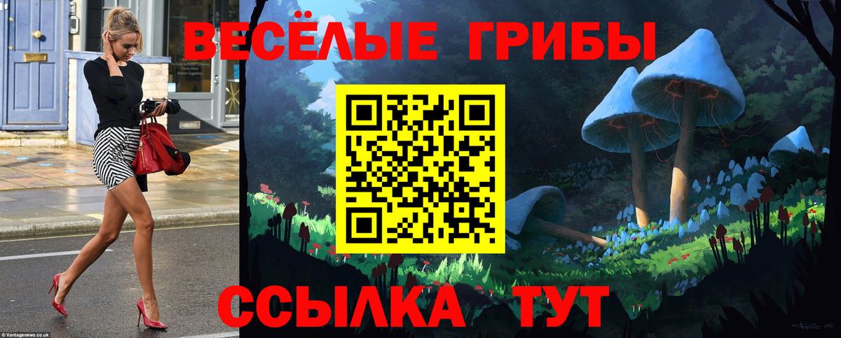 Псилоцибиновые грибы Psilocybe Октябрьский