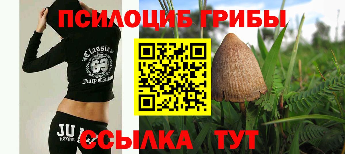 Псилоцибиновые грибы Psilocybine cubensis  Вход с VPN  где можно купить наркотик  Октябрьский 