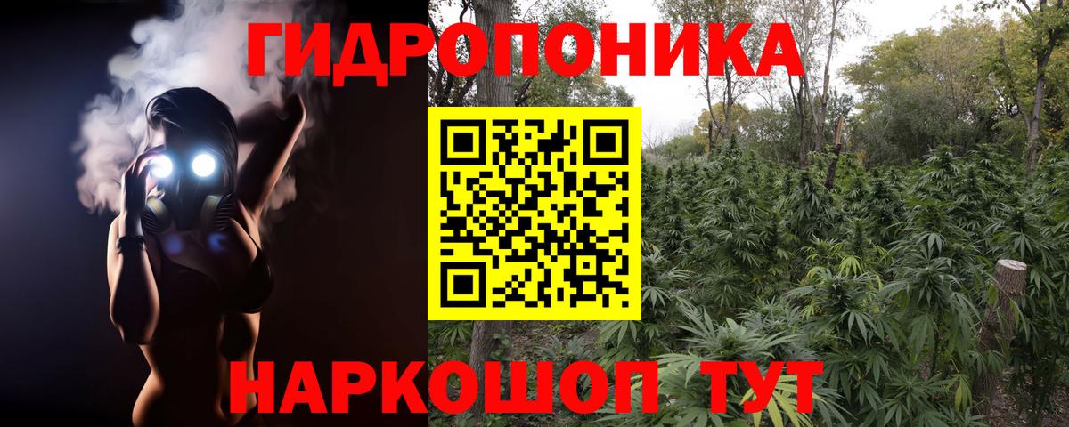 Канабис гибрид Октябрьский
